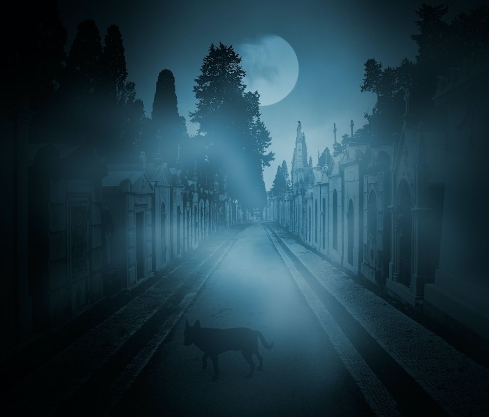 Editorial: April 15, 2022